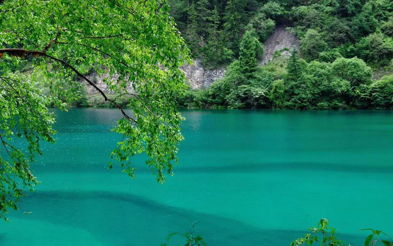 高端高标准